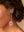 Elizabeth Cole
Carin Earrings